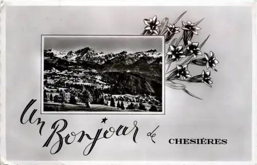 Un Bonjour de Chesieres -217136