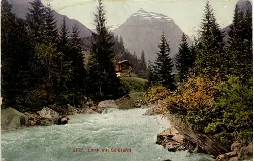 Linth mit Selbsanft -216792