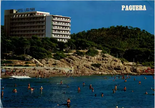 Mallorca - Paguera -212640