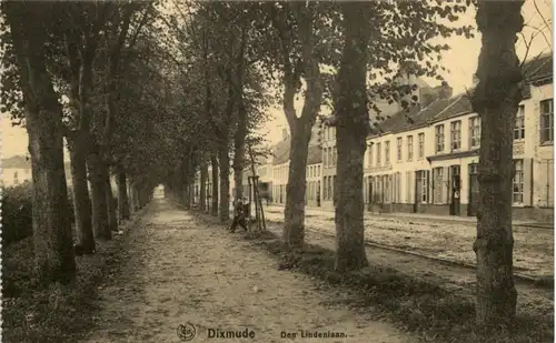 Dixmude - Den Lindenlaan -213796