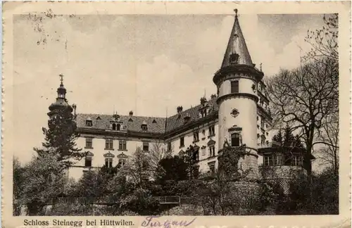 Schloss Steinegg bei Hüttwilen -216034
