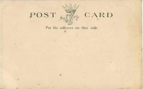 Bringing home the Turf -83348