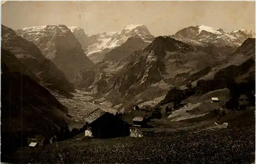 Braunwald -216828
