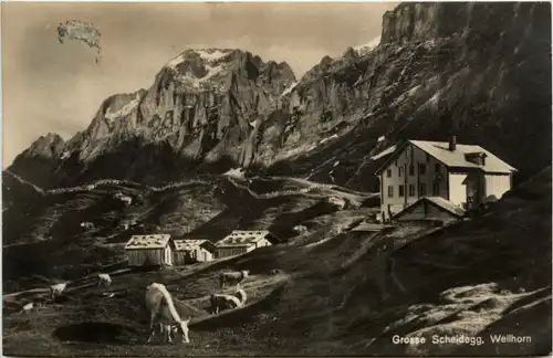 Grosse Scheidegg -216894