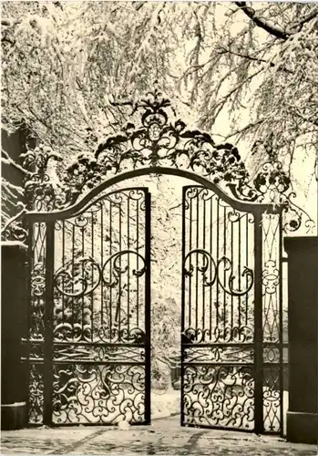 Basel - Tor zum Ritterhof -213200