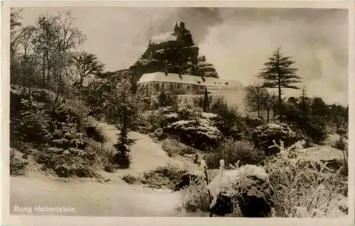 Burg Hohenstein -84106