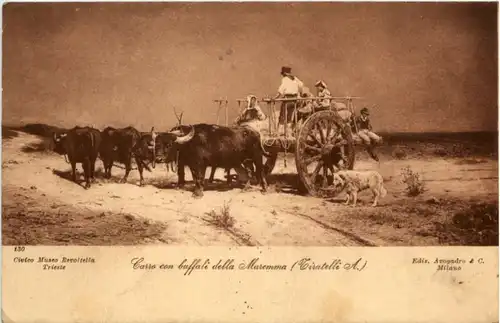 Carro con buffali -213190