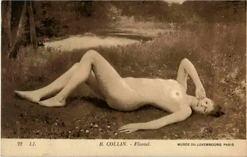 Collin - Floreal - Erotik -83582