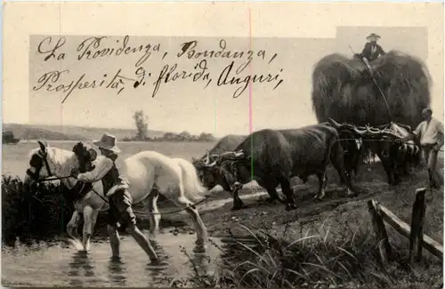 Ochsenkarren -214322