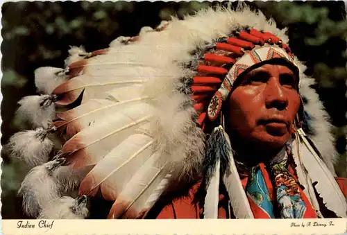Indian Chief -184588