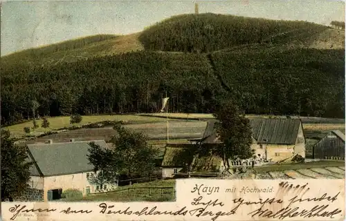 Hayn mit Hochwald -18948