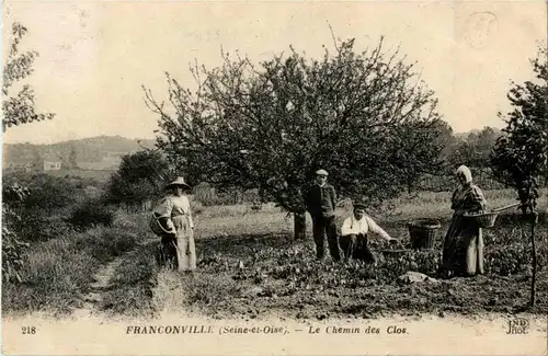 Franconville - Le Chemin des Clos -16850