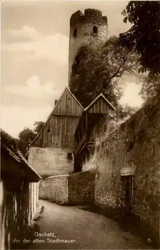 Oschatz - An der alten Stadtmauer -18768