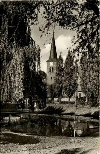 Falkenstein - SchlossBeilrode - Am dorfteich -18626