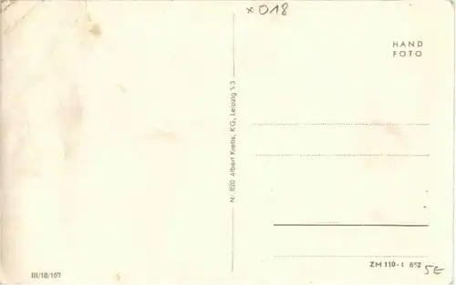 Wehlen - Fähre -18752