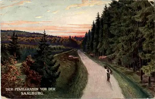 Pfahlgraben vor der Saalburg -18810