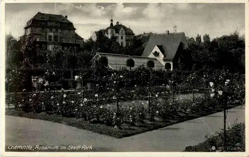 Chemnitz - Rosarium im Stadtpark -18784