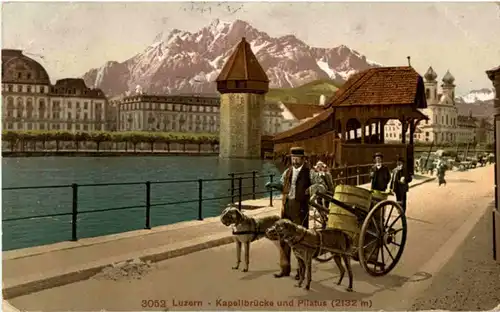 Luzern - Hundekutsche -193624