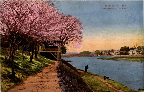 Kyoto - Cherry of Uji -19696