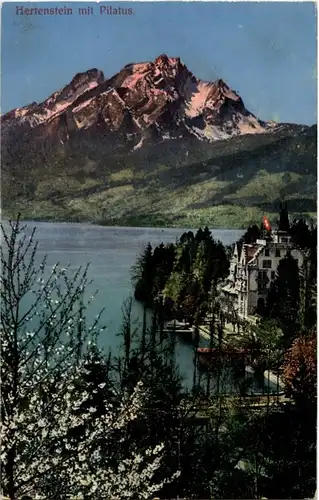 Hertenstein mit Pilatus -193936