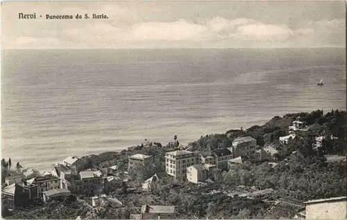 Nervi -20572
