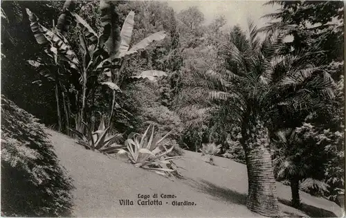 Lago di Como - Villa Carlotta -20670