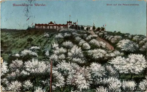 Baumblüte in Werder -22382