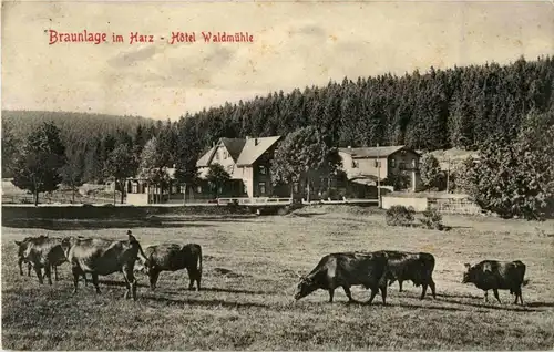 Braunlage - Hotel Waldmühle -22756