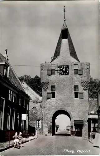 Elburg - Vispoort -20132