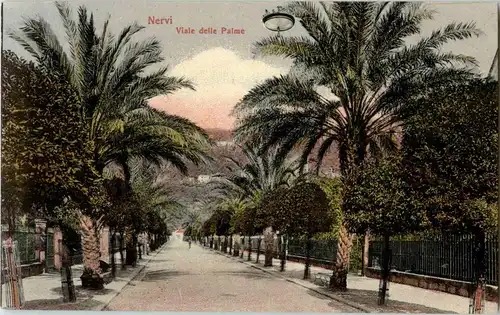 Nervi - Viale delle Palme -23756