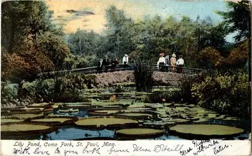 St. Paul - Lily Pond -20784