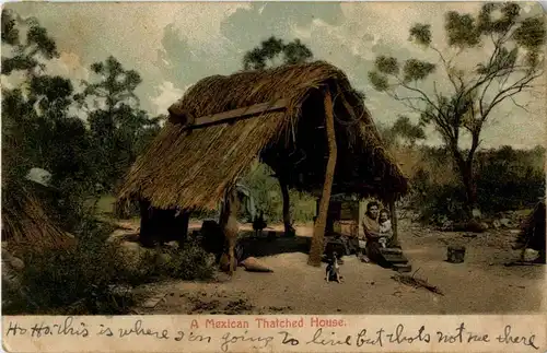 A Mexican Thatched House -23848