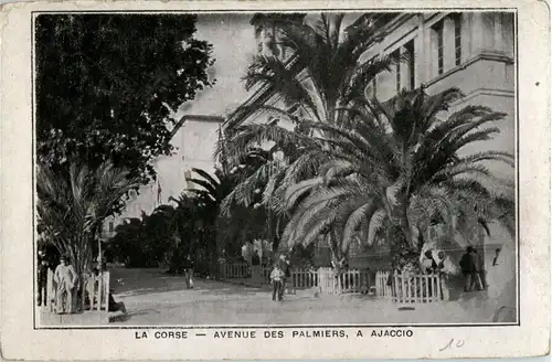 Ajaccio - Avenue des Palmiers -24728