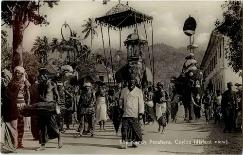 The Kendy Perahera - Elephant -23832