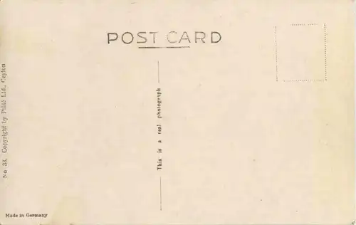 The Kendy Perahera - Elephant -23832