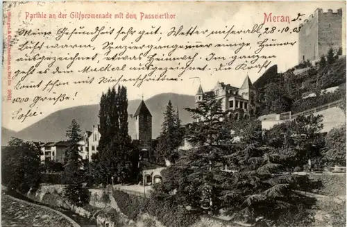 Meran - Partie an der Gilfpromenade -25680