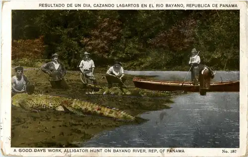 Panama - Alligator hunt - hunting -25210