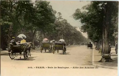 Paris - Bois de Boulogne -24522