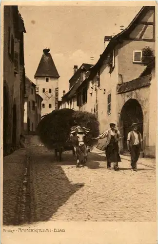 Ammerschwihr -23290