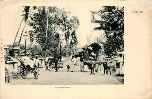 Colombo - Colpetty Road -217710