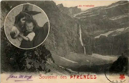 Souvenir des Pyrenees - Donkey -218158