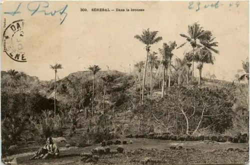 Senegal - Dans la brousse -218596