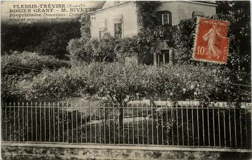 Le Plessis Trevise - Rosier Geant -217918