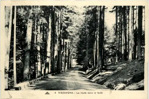 Vizzavona - La route dans le foret -218064