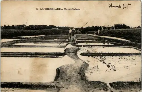 La Tremblade - Marais Salants -217980