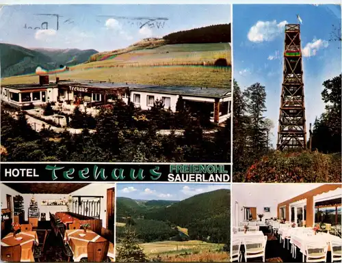 Freienohl - Hotel Teehaus -219428