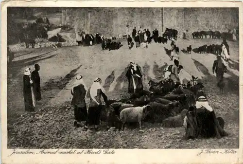 Jerusalem - Animal market -218762