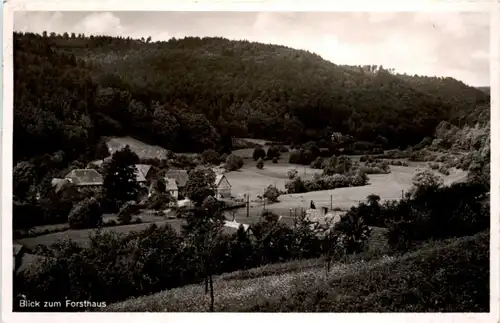 Krausenbach im Spessart - Forsthaus -219820