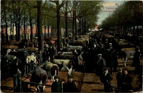 Groningen - Veemarkt -219320