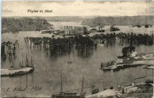 Phylae en flood -219360